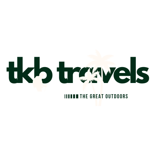 green modern and minimalistic travel typography logo
